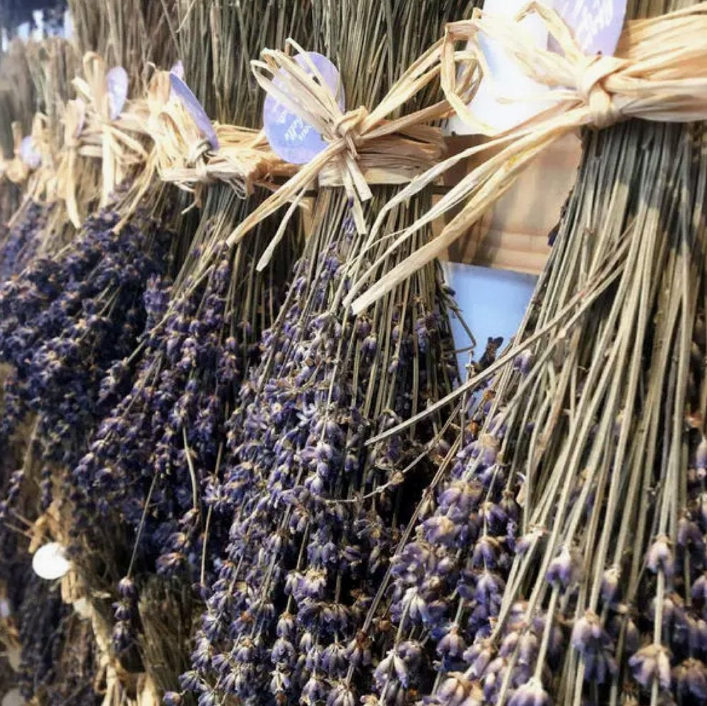 Lavender
