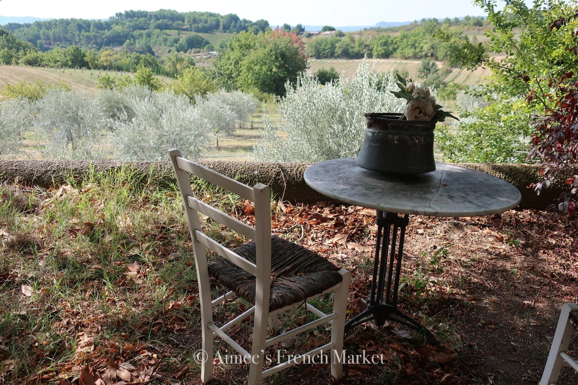 French Olive Oil - 100% organic from small farm in Provence