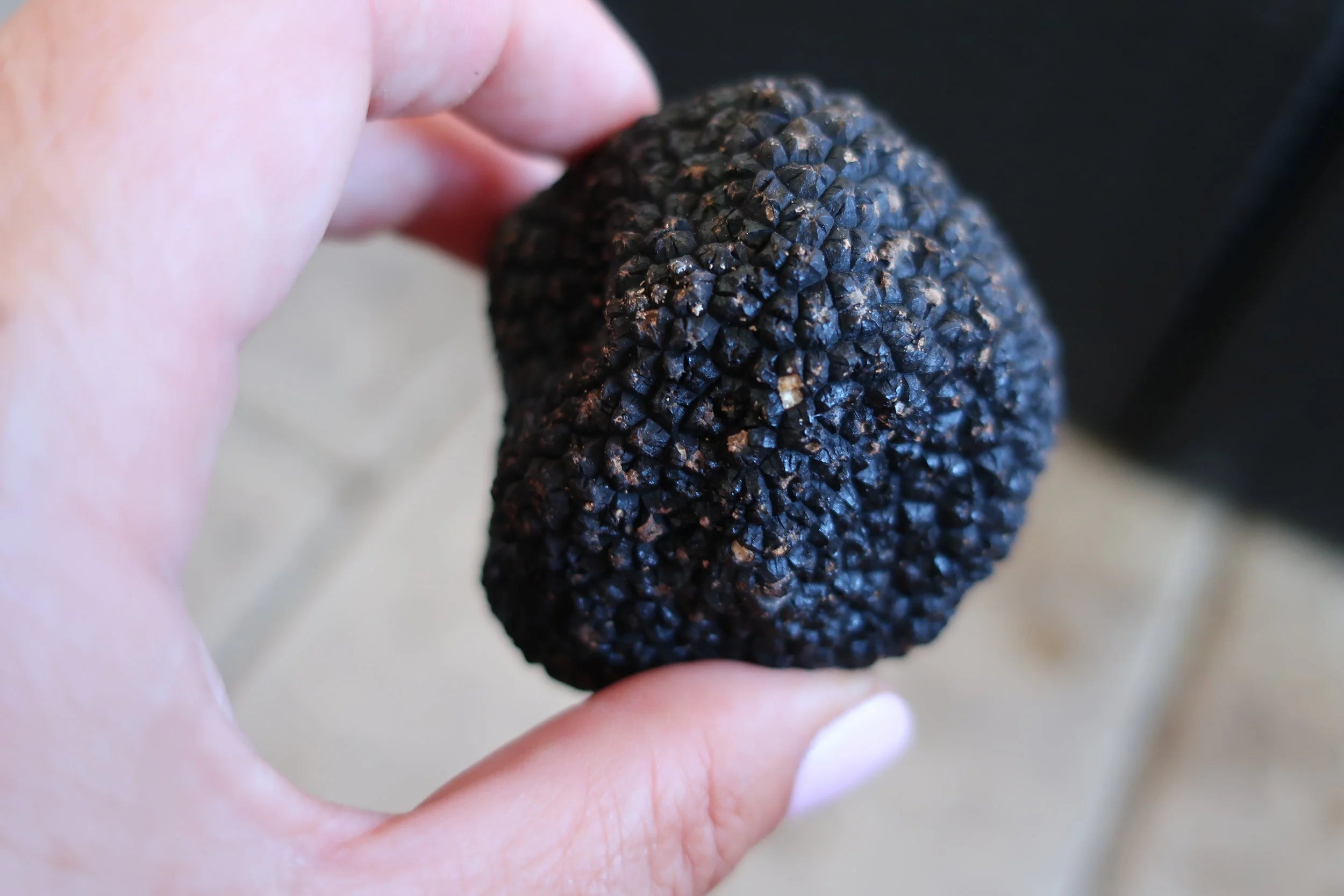 Les Pastras Black Truffle Honey