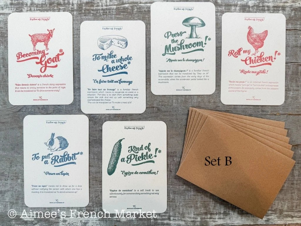 Two new sets!  Quirky French Sayings with Vintage French Engravings, 6 Cards - Handmade in Paris