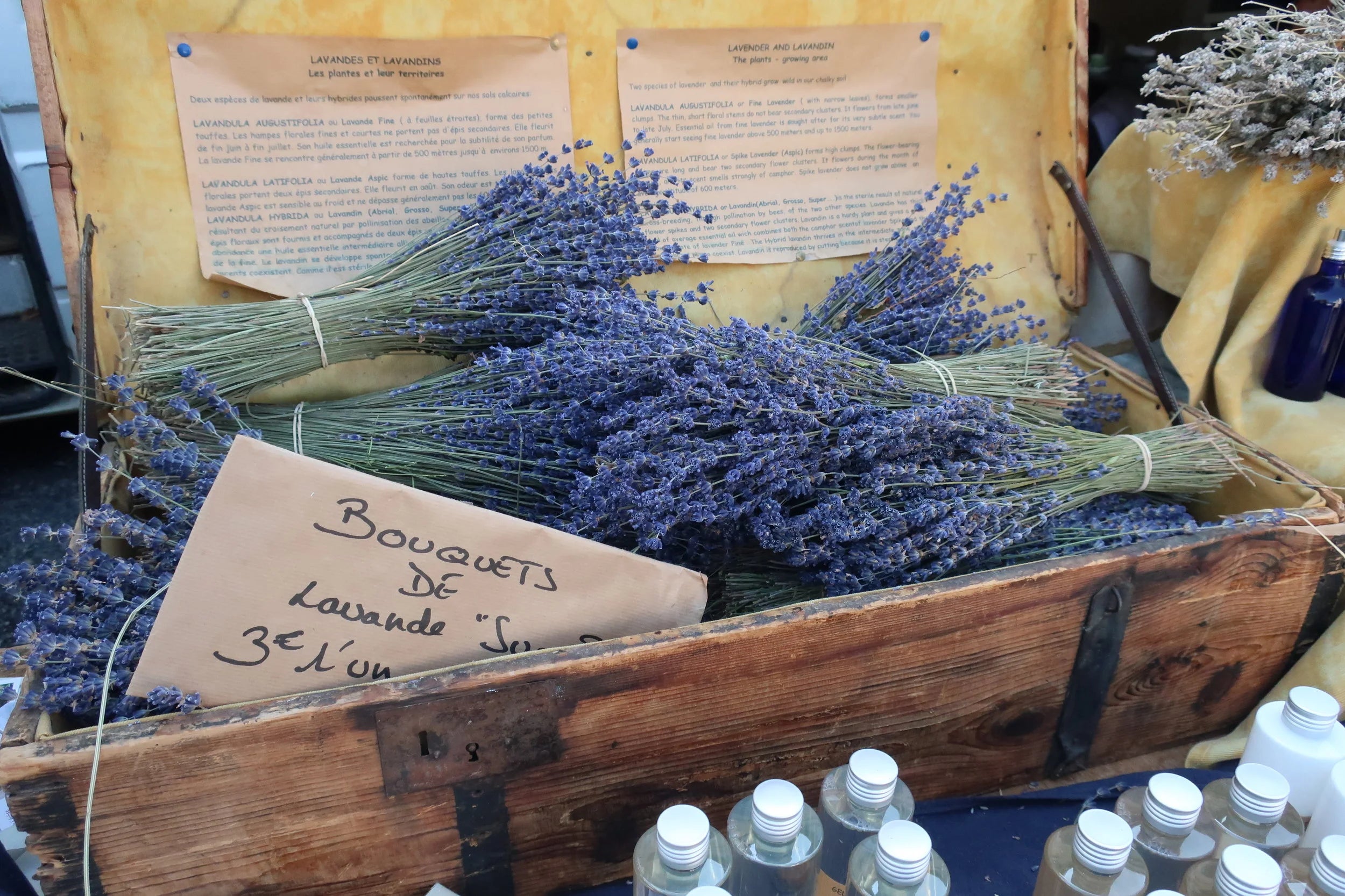 Organic Lavender Soaps from Provence