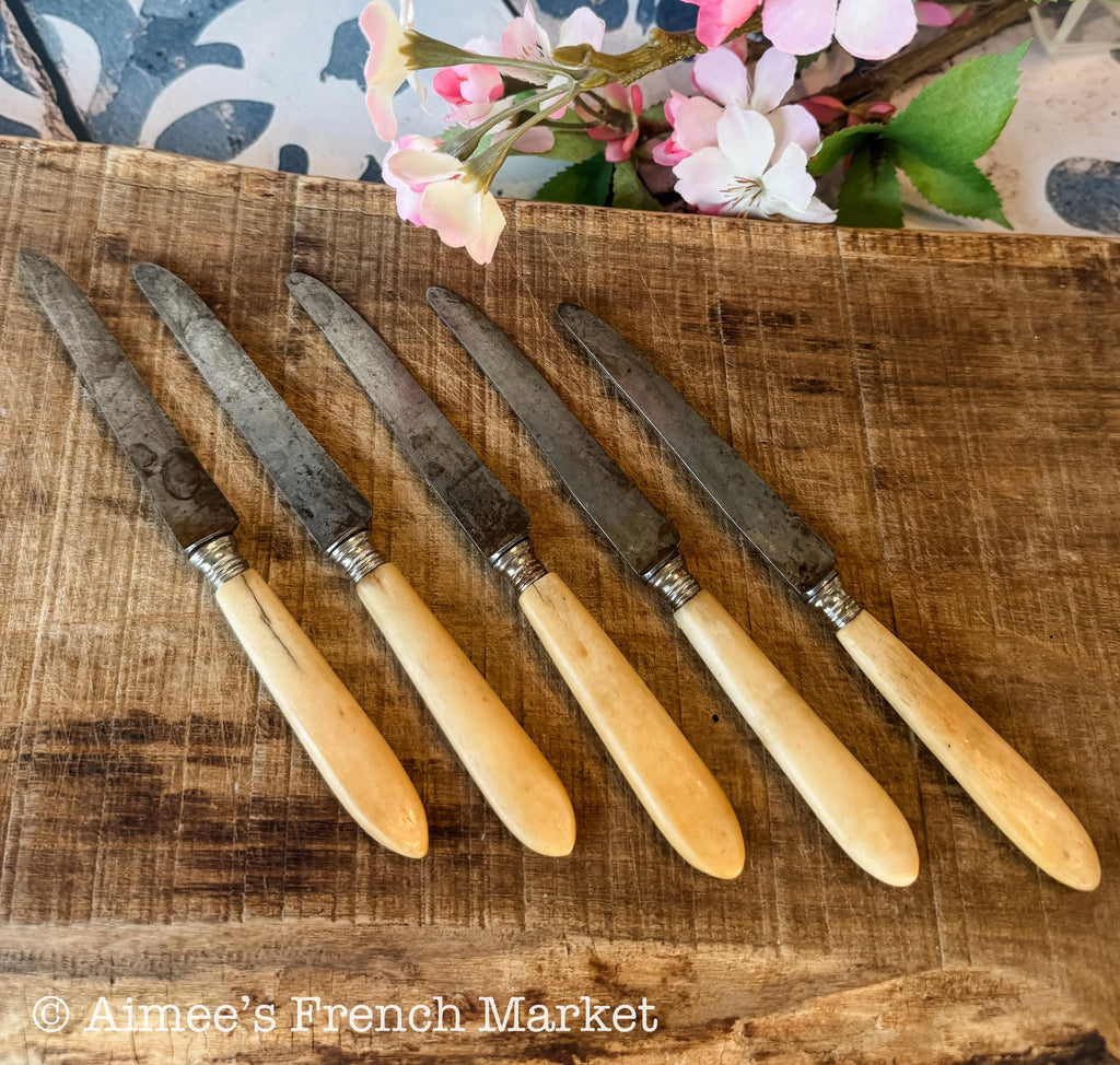 Antique French Fruit Knives – Set of 5 Vintage Paris Cutlery with Horn Handles