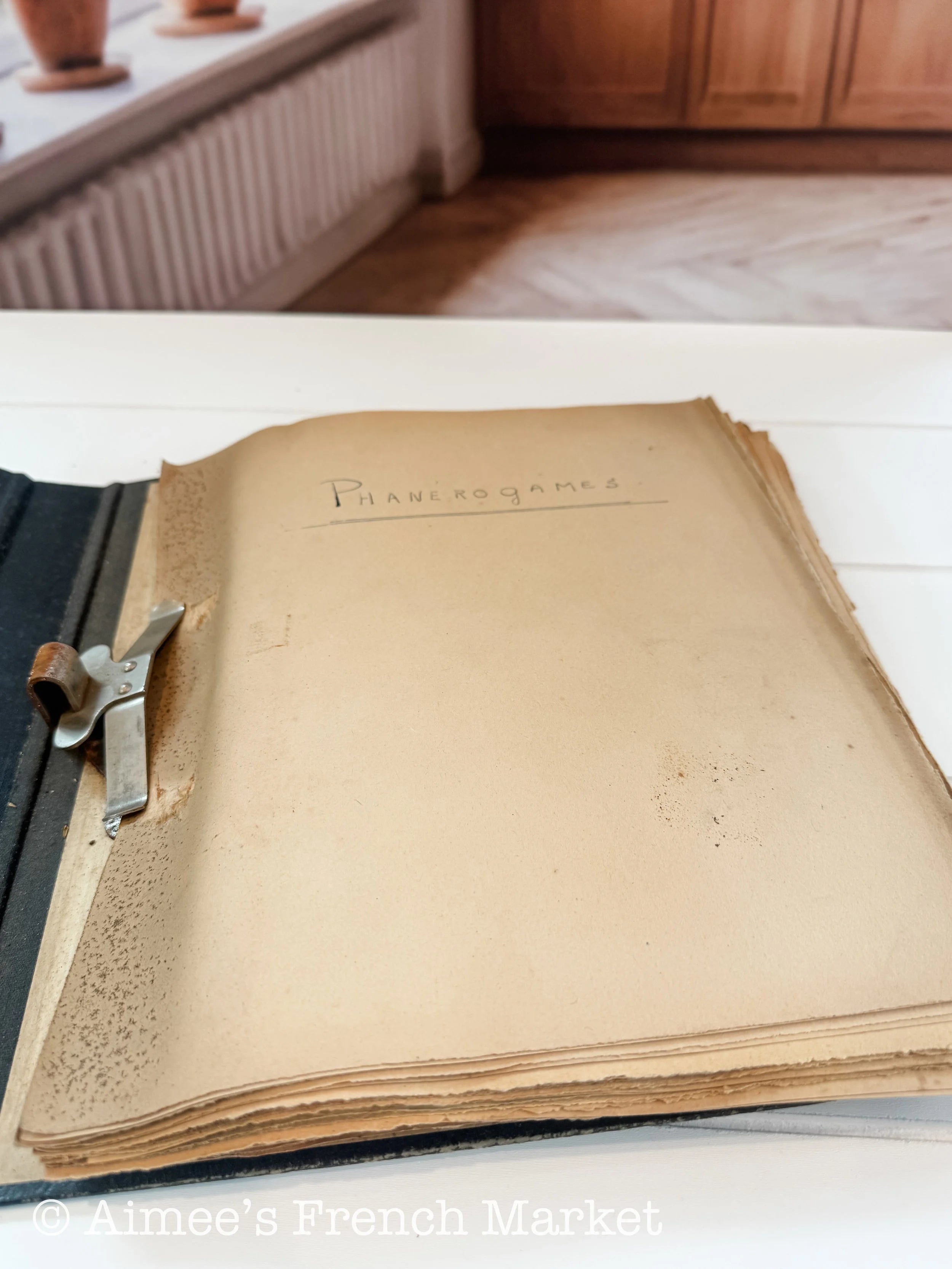 Antique French Herbarium Notebook – Identified Botanical Specimens, Handwritten Plant Study, Asteraceae Collection, 19th Century, 28 pages