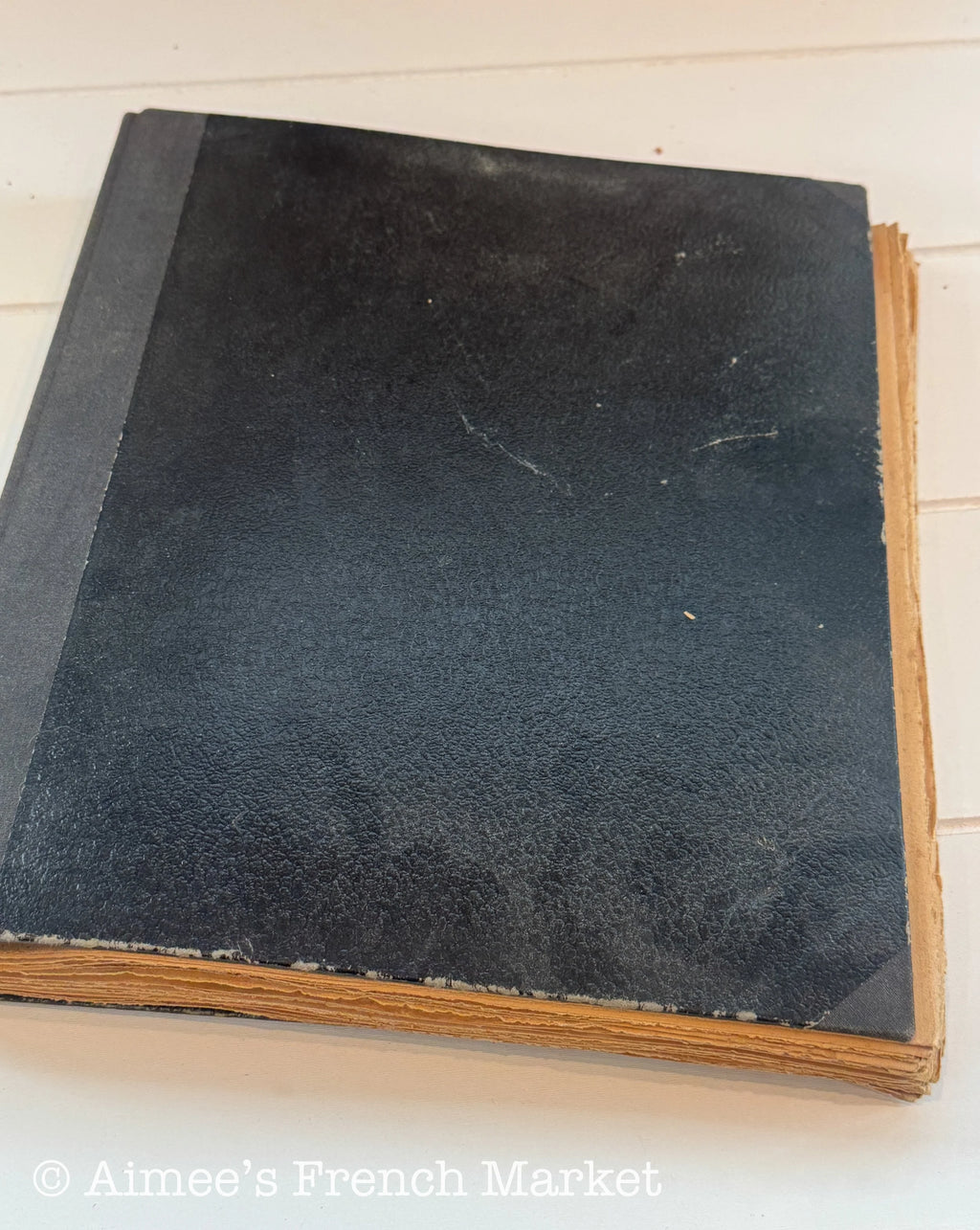 Antique French Herbarium Notebook – Identified Botanical Specimens, Handwritten Plant Study, Asteraceae Collection, 19th Century, 28 pages
