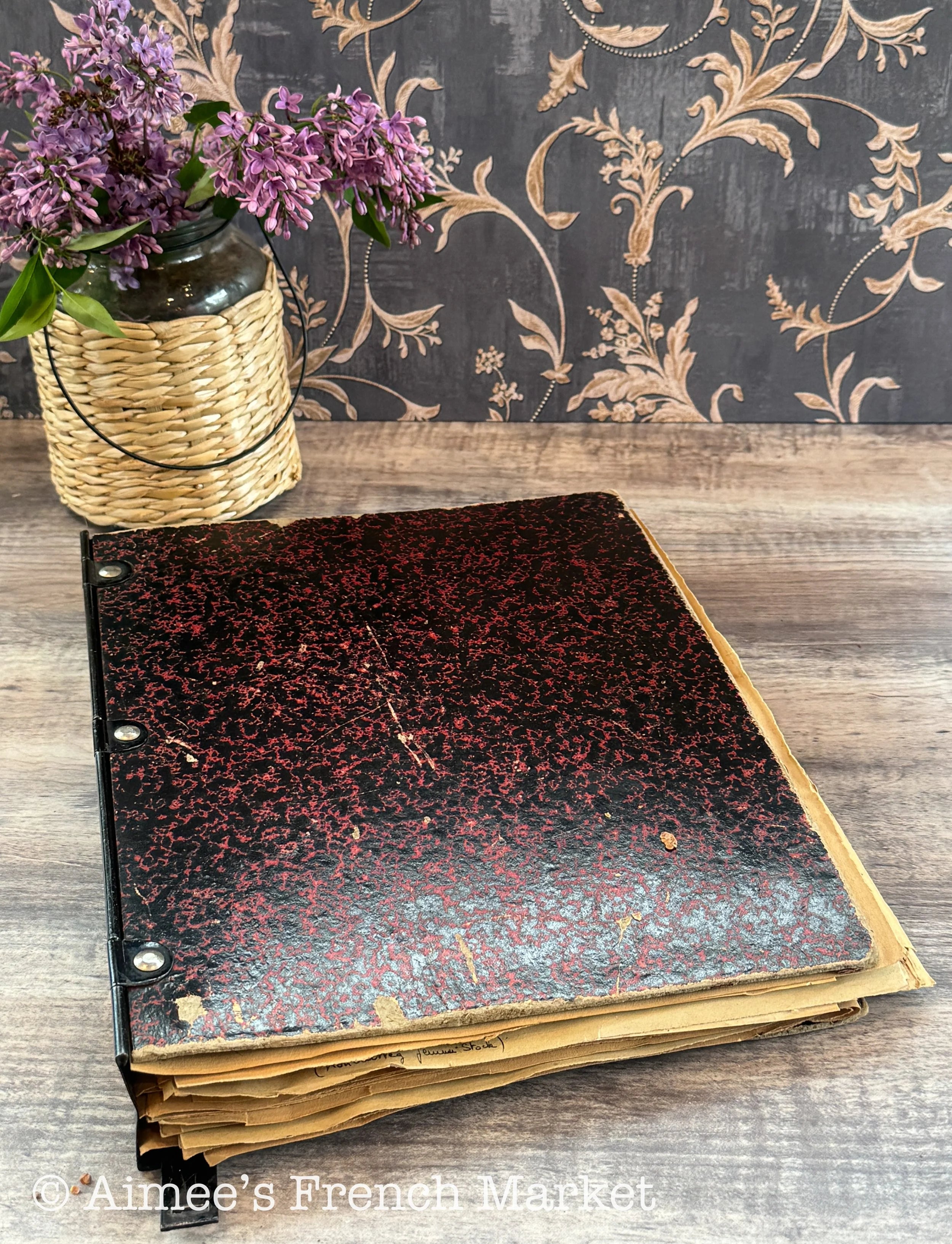 Antique French Herbarium Notebook – Identified Botanical Specimens, Handwritten Plant Study, Asteraceae Collection, 19th Century, 50 pages