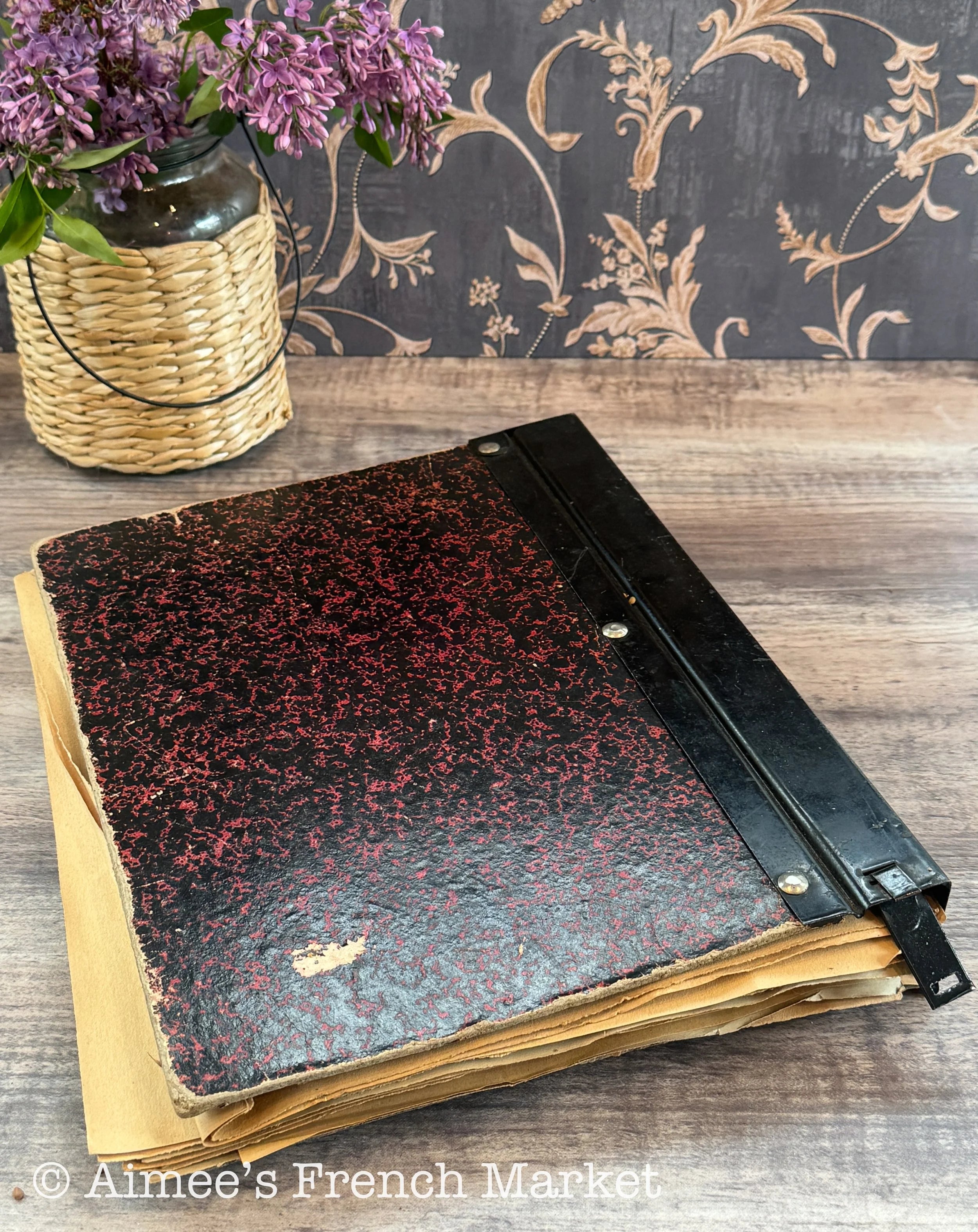 Antique French Herbarium Notebook – Identified Botanical Specimens, Handwritten Plant Study, Asteraceae Collection, 19th Century, 50 pages