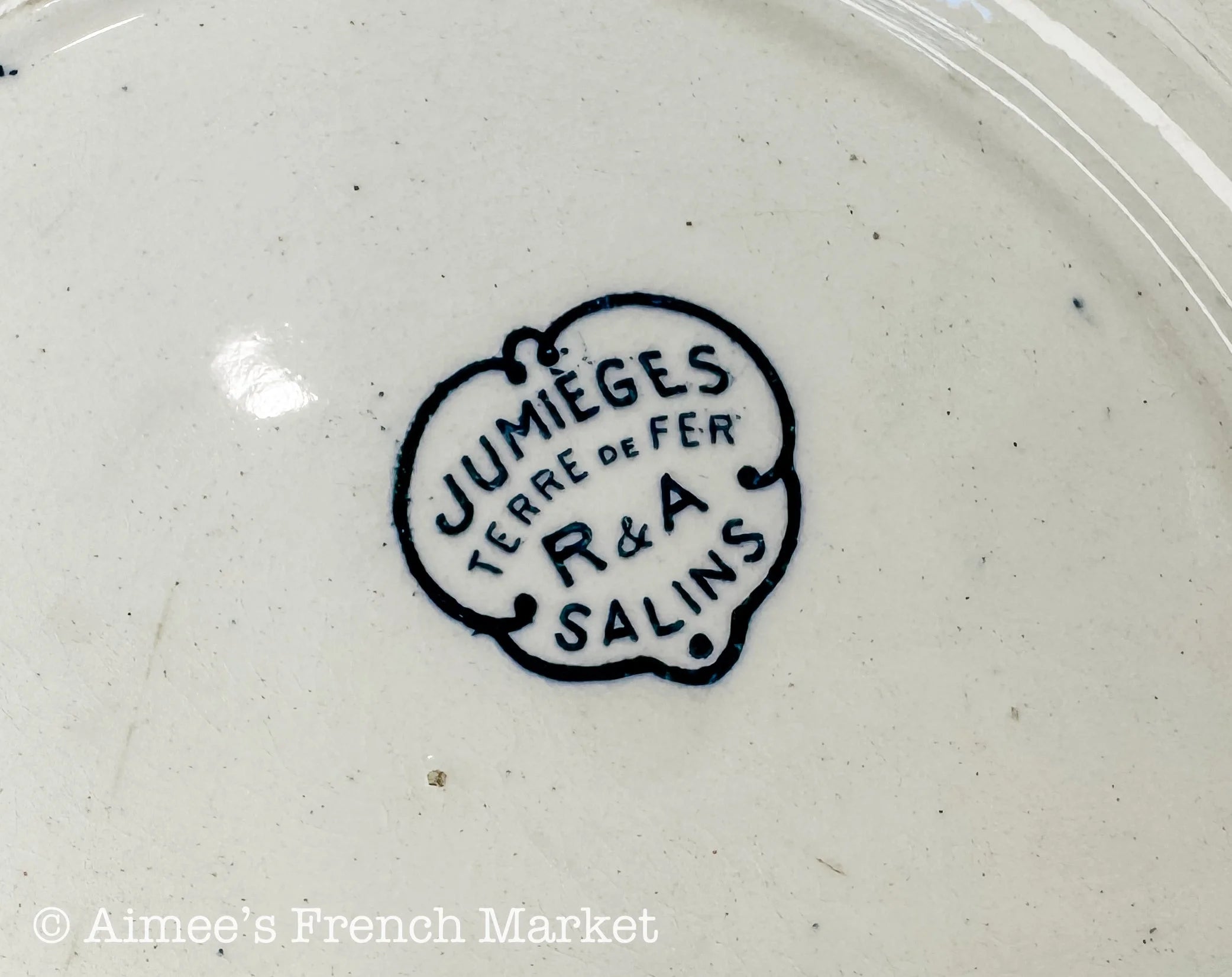 Antique French Blue Transferware Plates Set of 2 | Salins Jumièges Terre de Fer | Ironstone Soup Plates | French Country Tableware