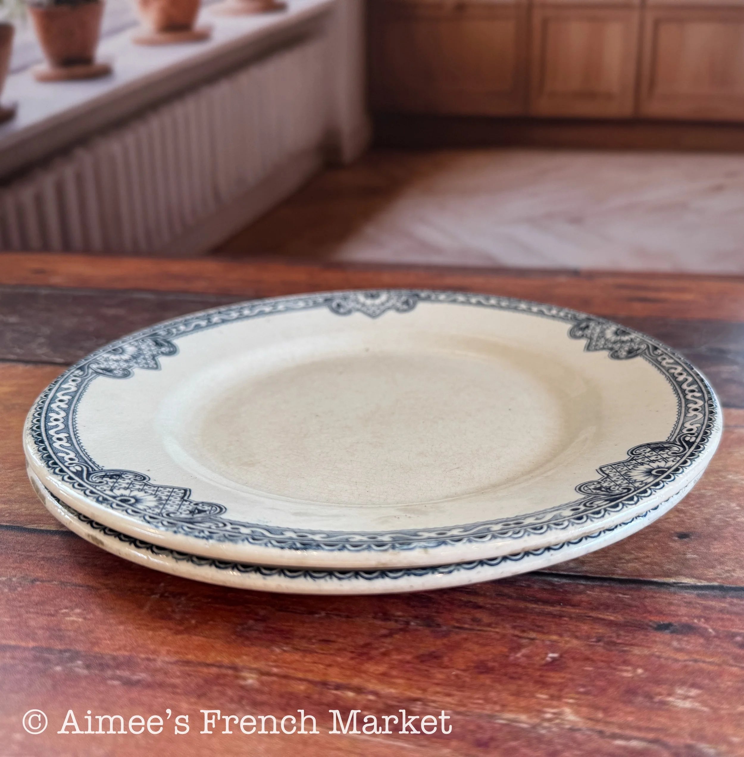 Antique French Blue Transferware Plates Set of 2 | Salins Jumièges Terre de Fer | Ironstone Soup Plates | French Country Tableware