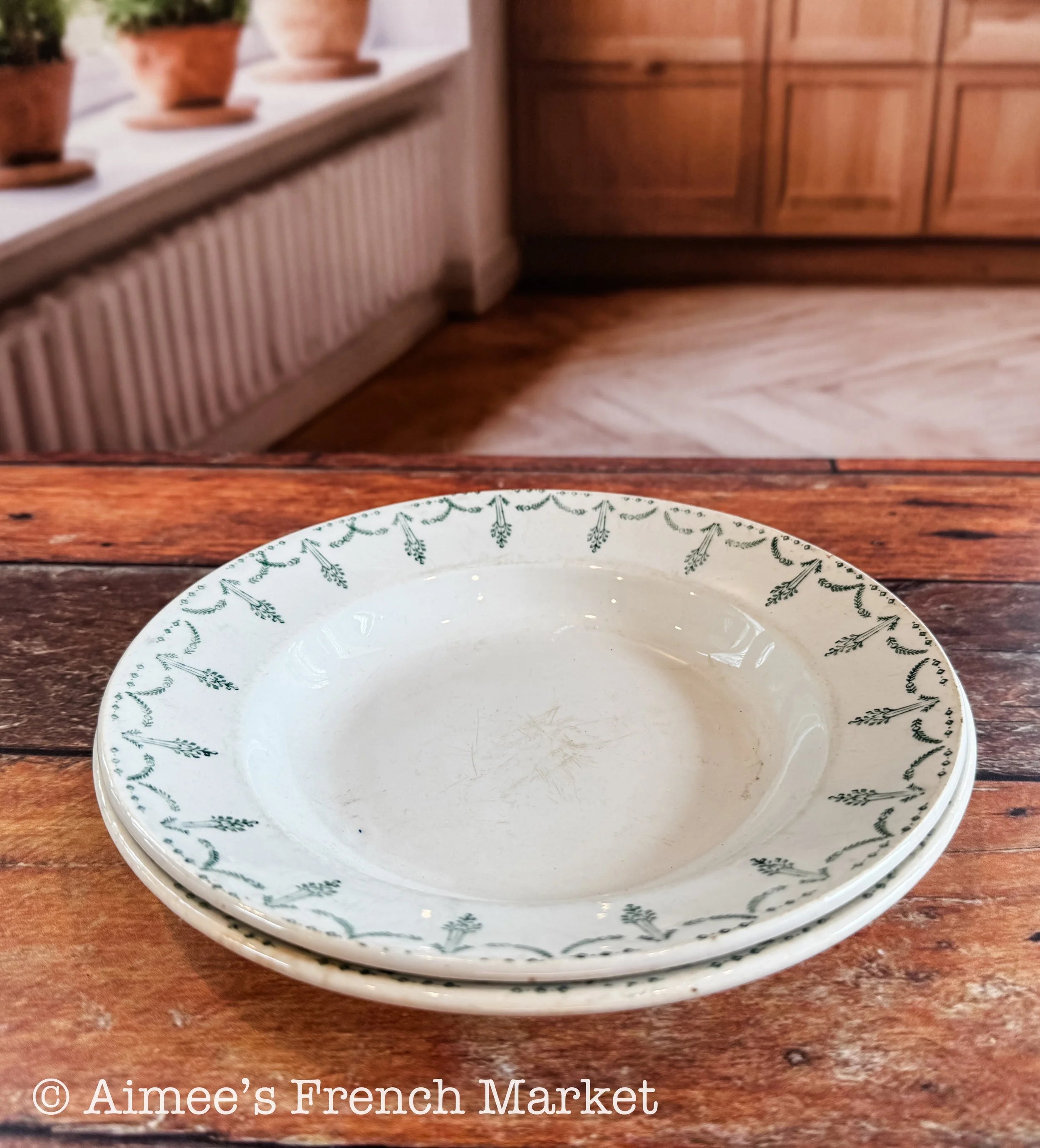 Antique French Shallow Soup Bowls Set of 2 | Porcelaine de Gien France | Green Garland Transferware