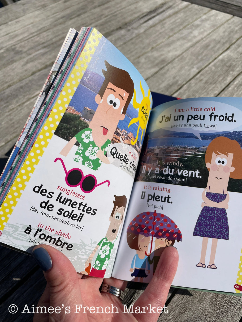 Kid's (or adult's) Books about France and French Language - 6 to choose from