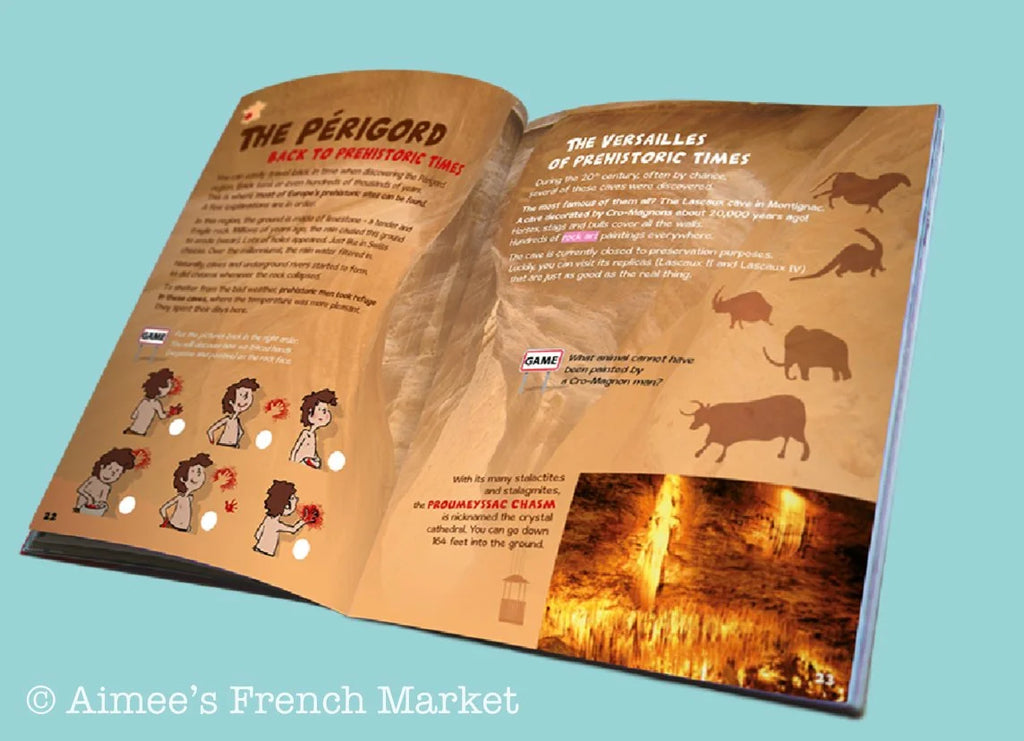Kid's (or adult's) Books about France and French Language - 6 to choose from