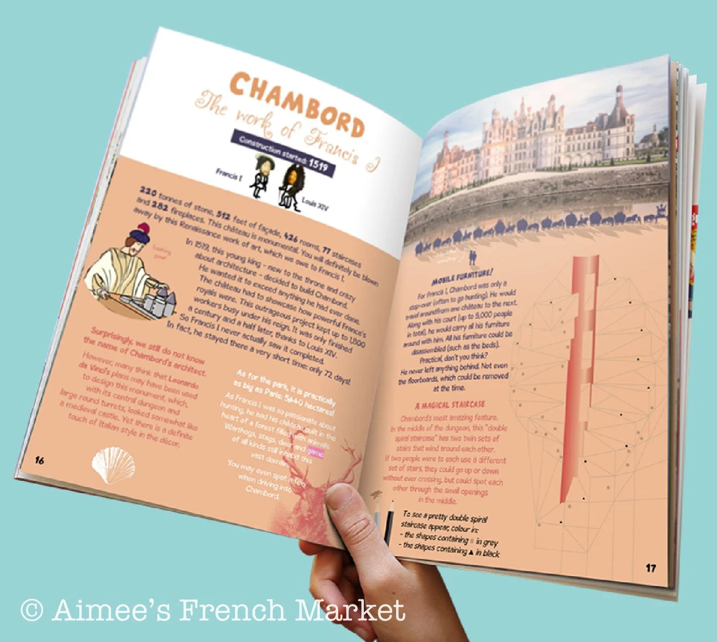Kid's (or adult's) Books about France and French Language - 6 to choose from
