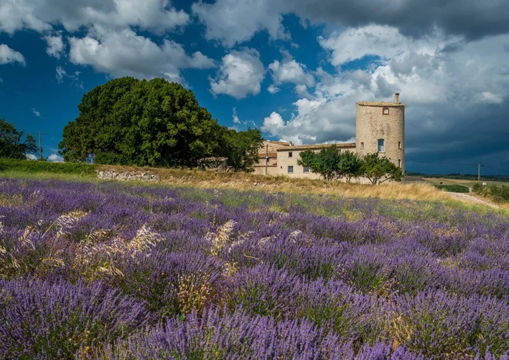 Lavender Bouquets from Provence!