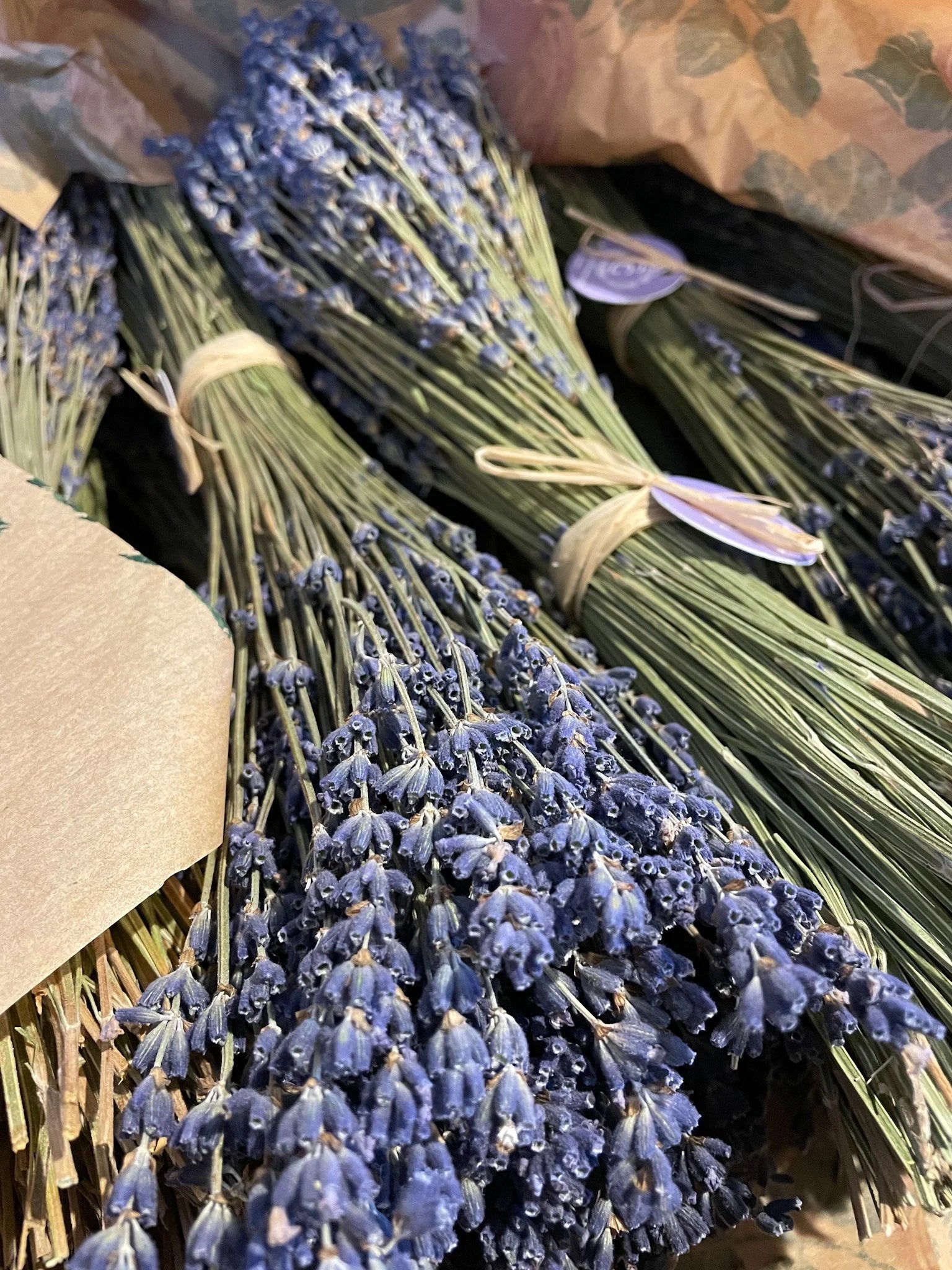 Lavender Bouquets from Provence!