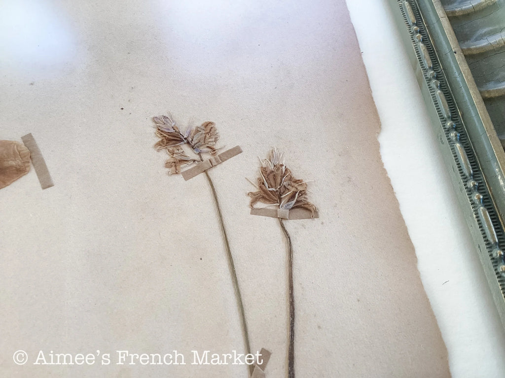 40% off - French Vintage Botanical No. 1