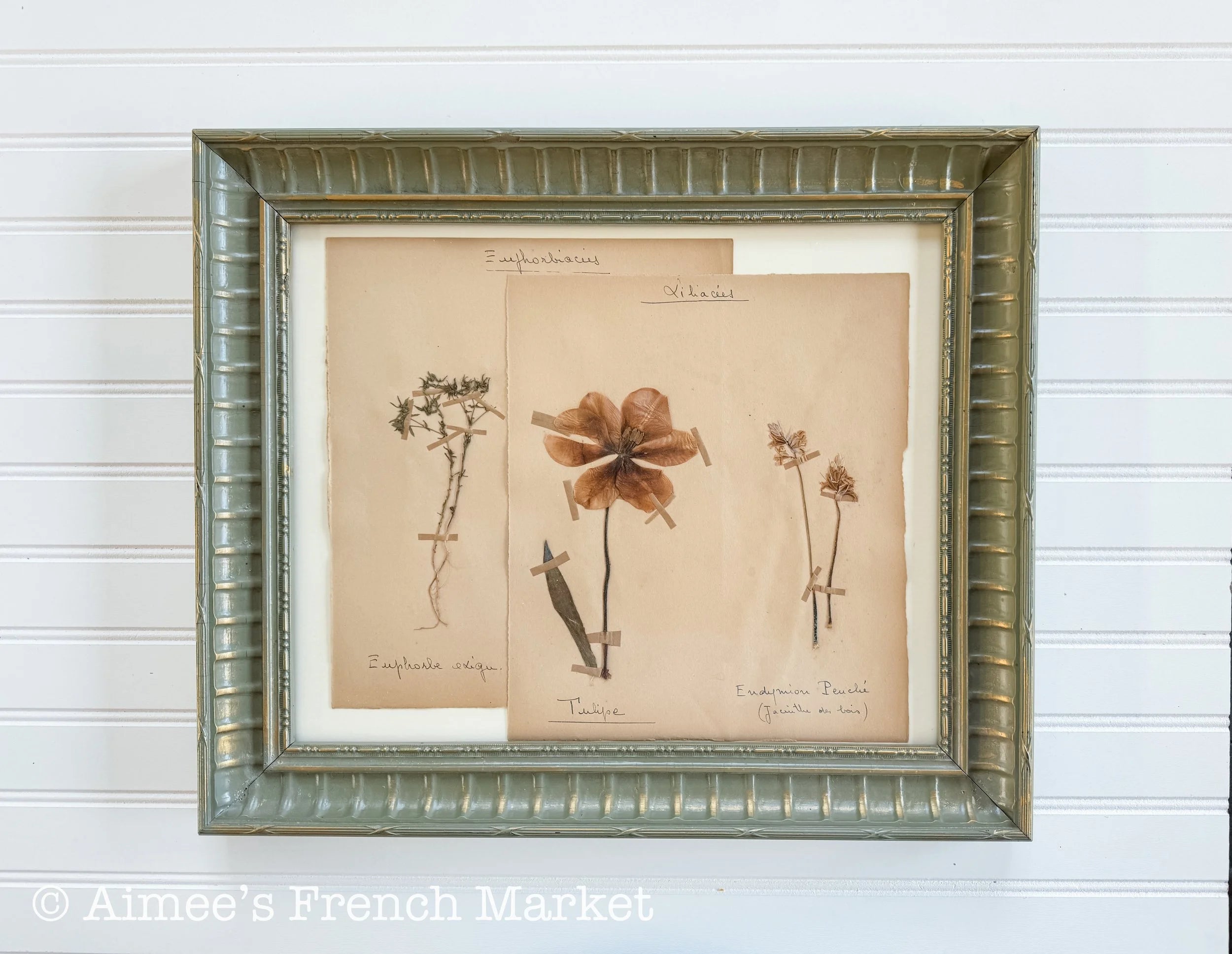40% off - French Vintage Botanical No. 1
