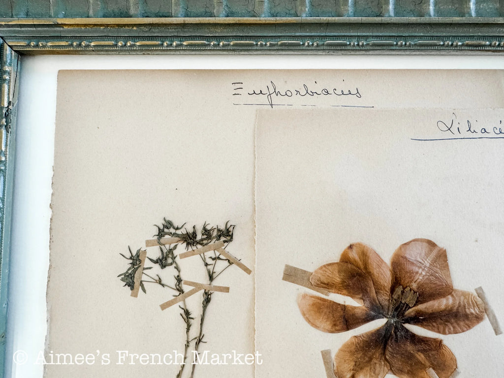 40% off - French Vintage Botanical No. 1