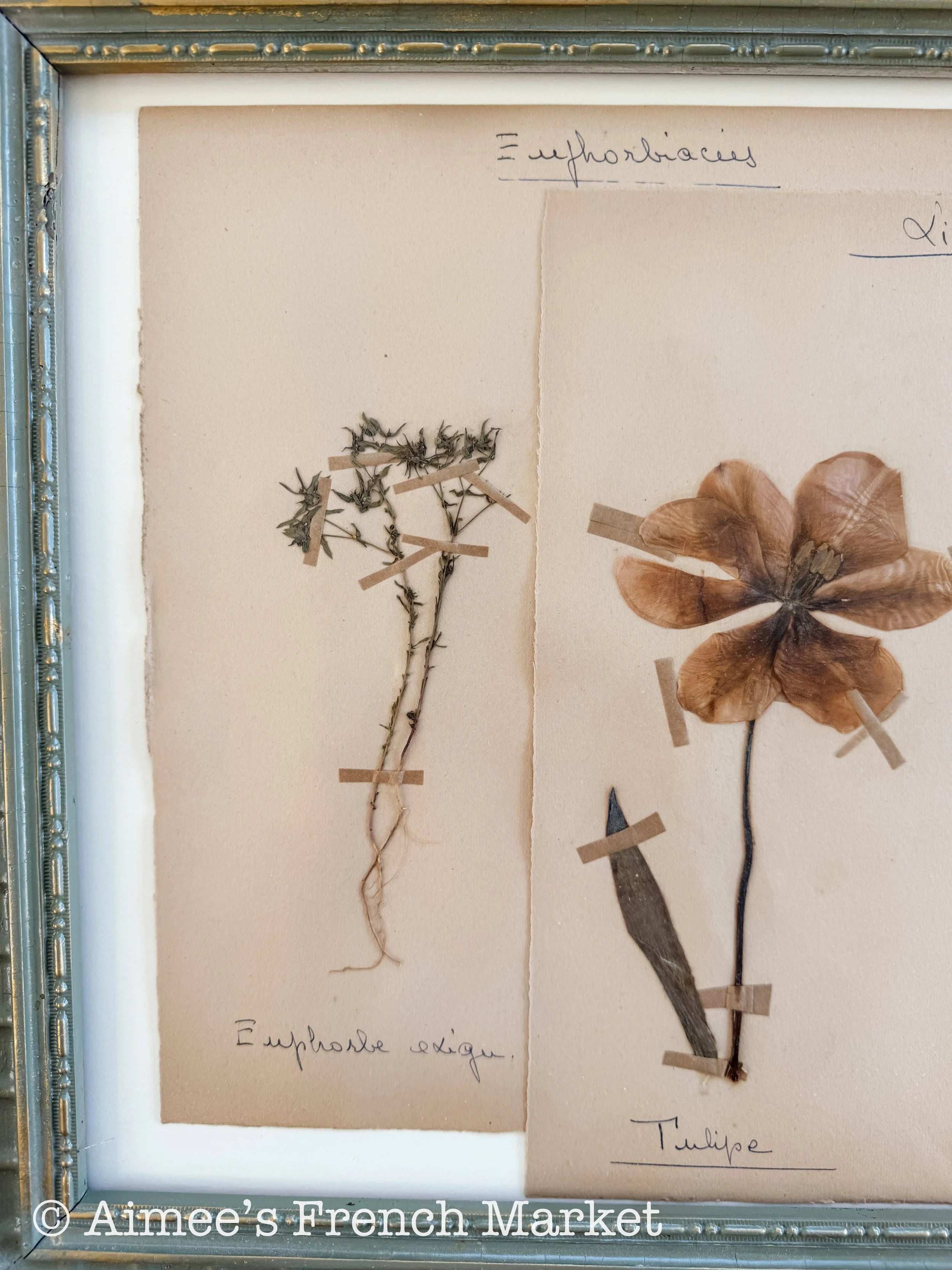 40% off - French Vintage Botanical No. 1