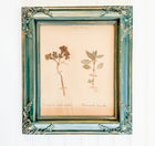 40% off - French Vintage Botanical No. 3