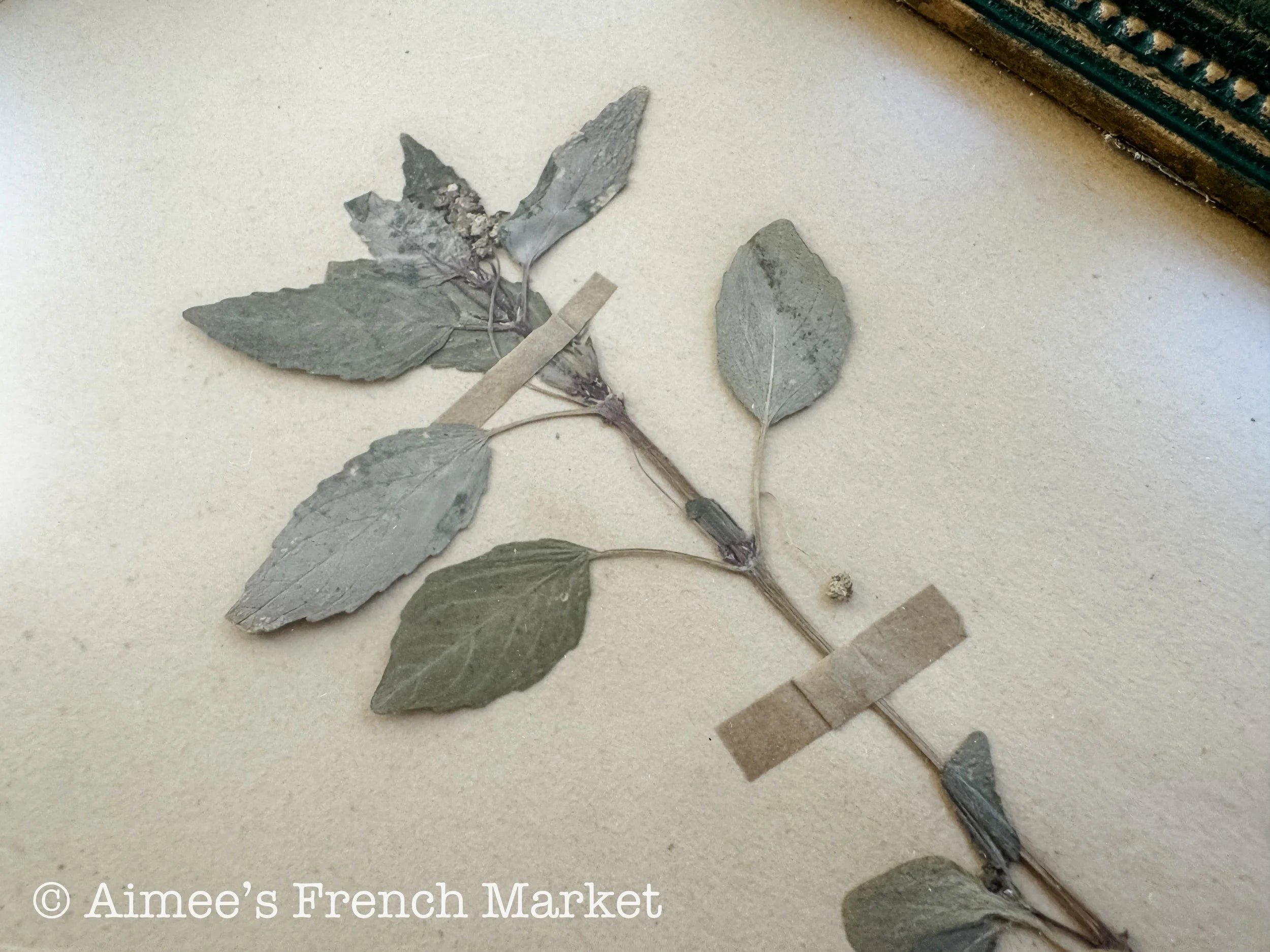 40% off - French Vintage Botanical No. 3