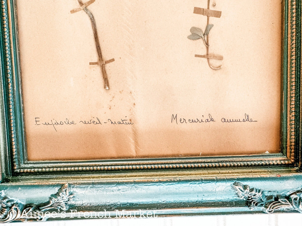 40% off - French Vintage Botanical No. 3