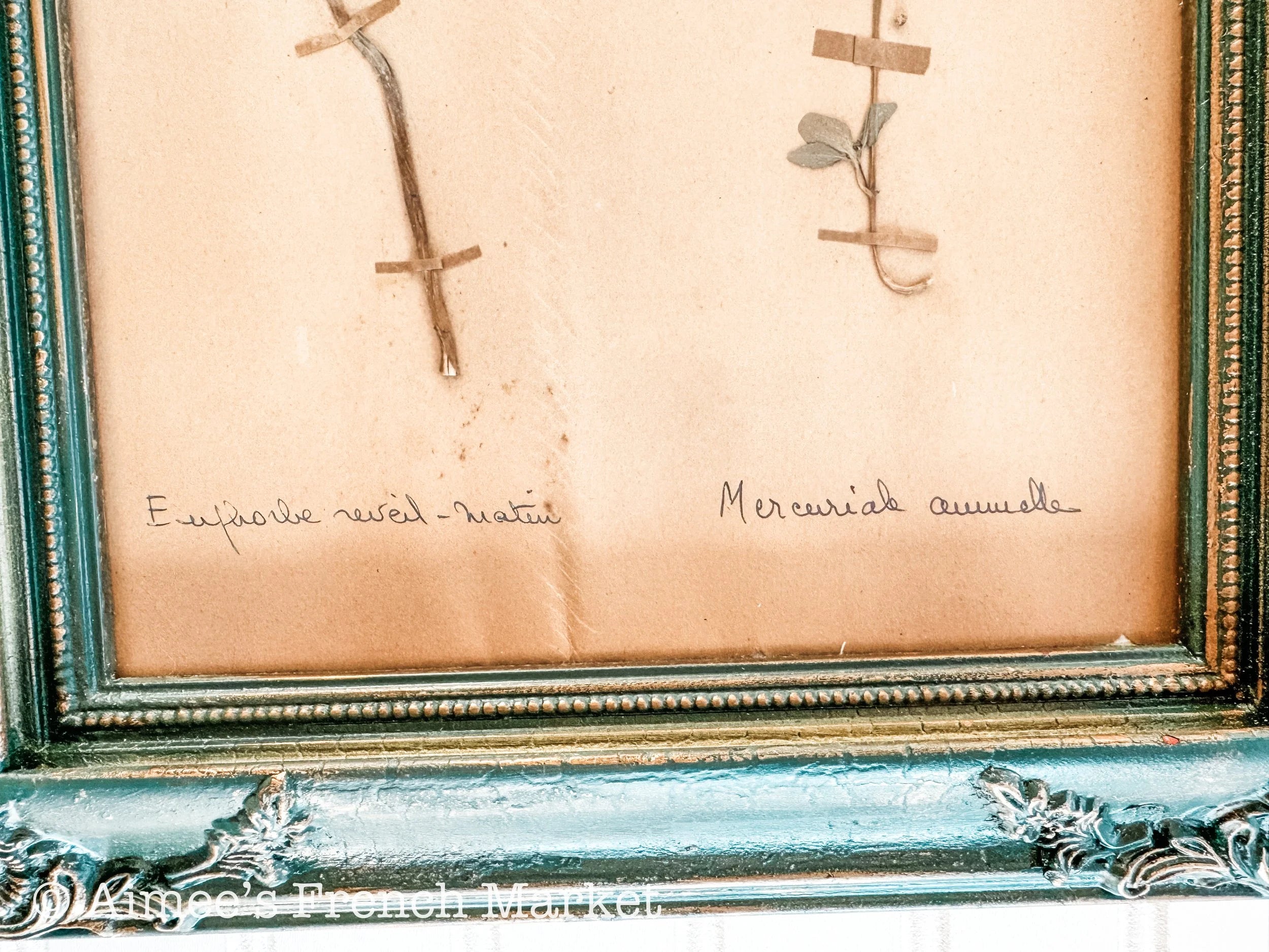 40% off - French Vintage Botanical No. 3