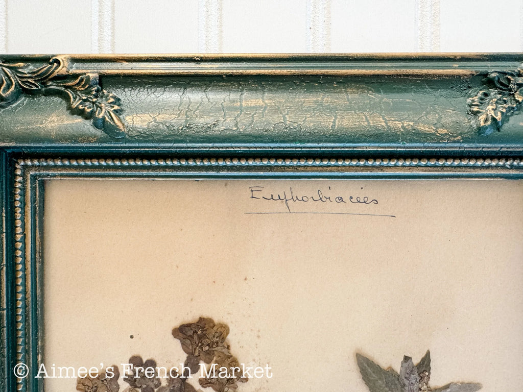 40% off - French Vintage Botanical No. 3