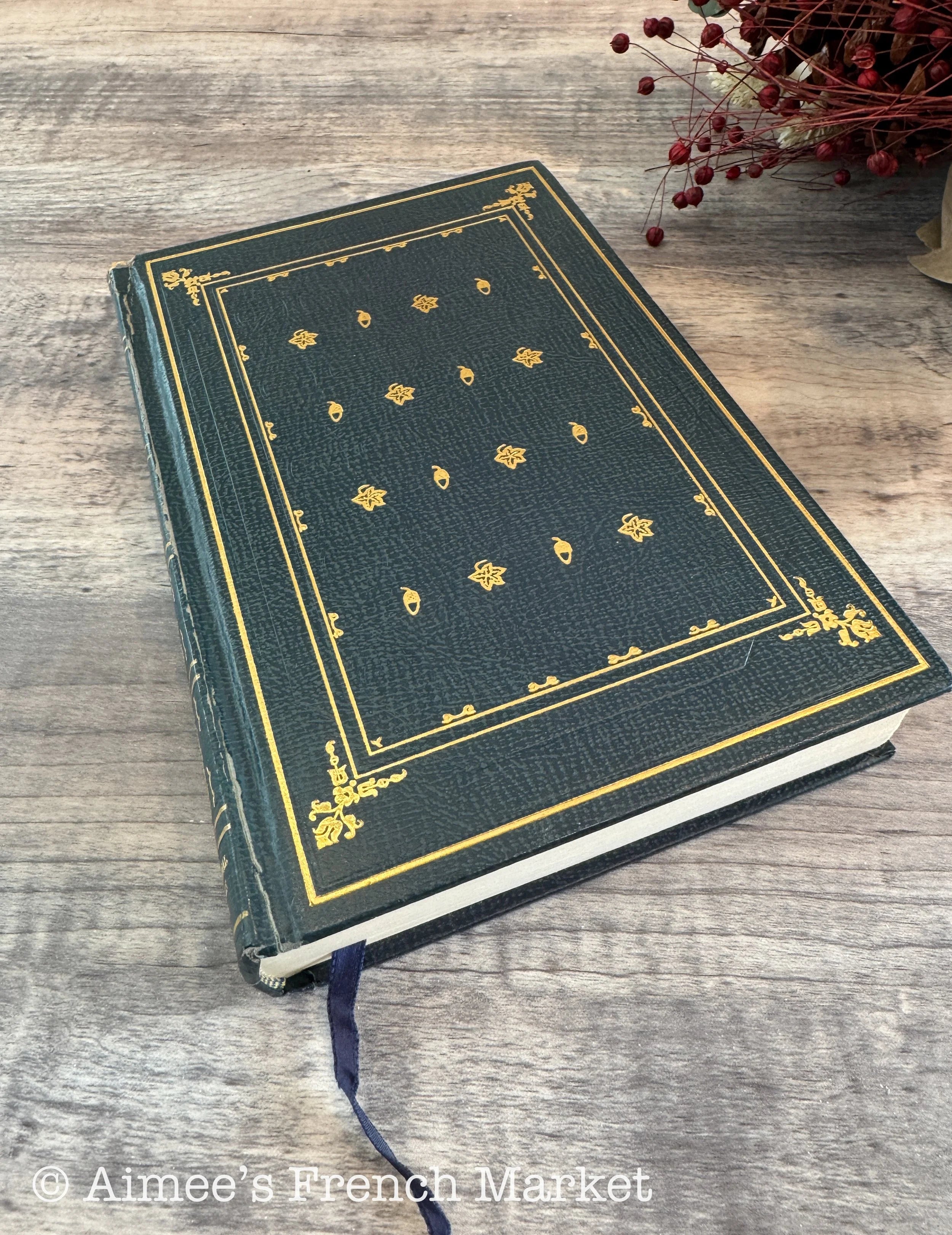 Vintage Copy of Last of the Mohicans