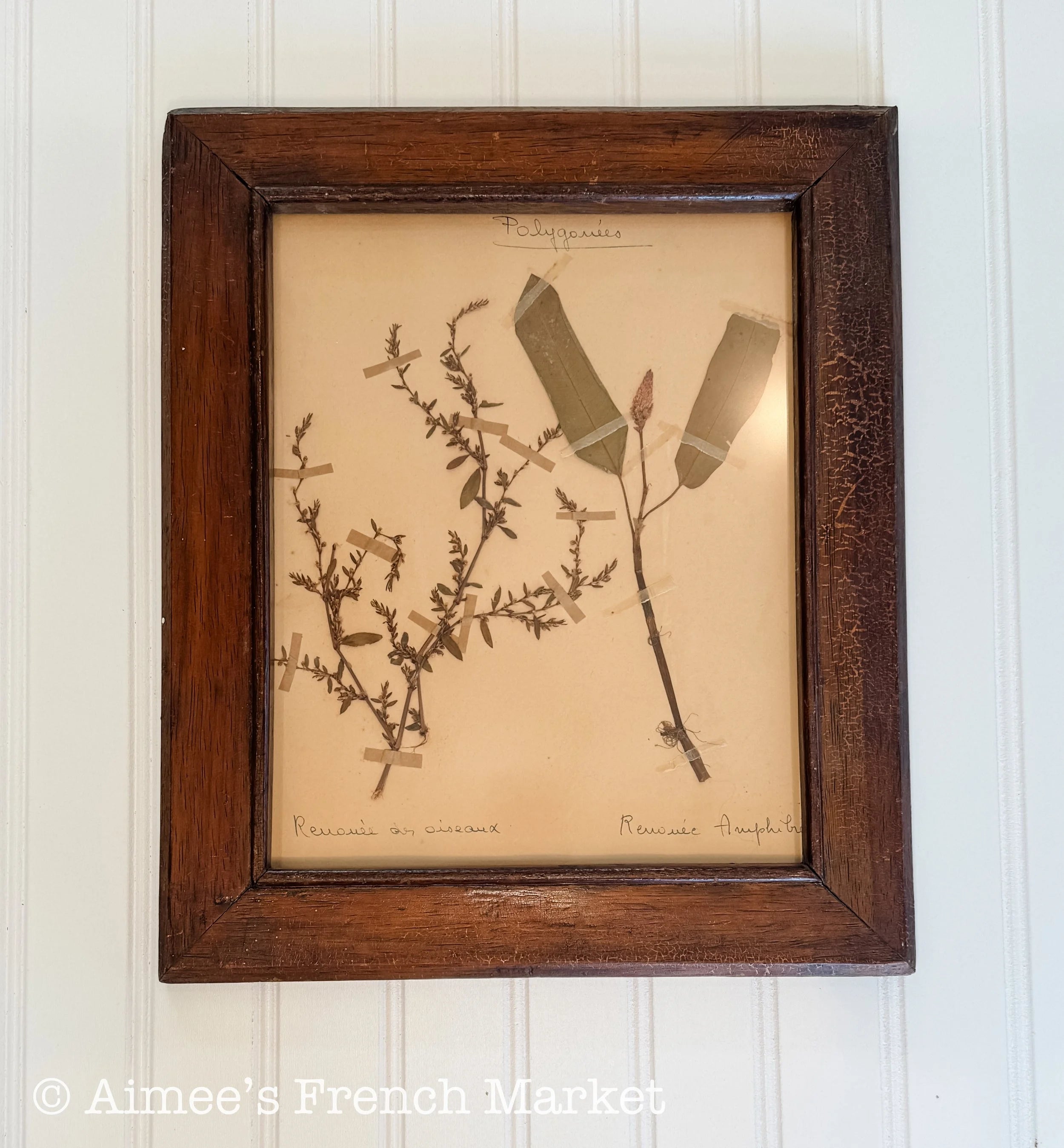 20% off - French Vintage Botanical with Antique Frame - No. 7