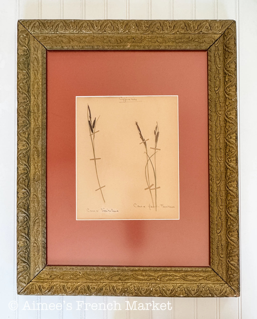 20% off - French Vintage Botanical with Antique French Frame - Large - No. 5