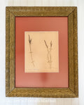 20% off - French Vintage Botanical with Antique French Frame - Large - No. 5