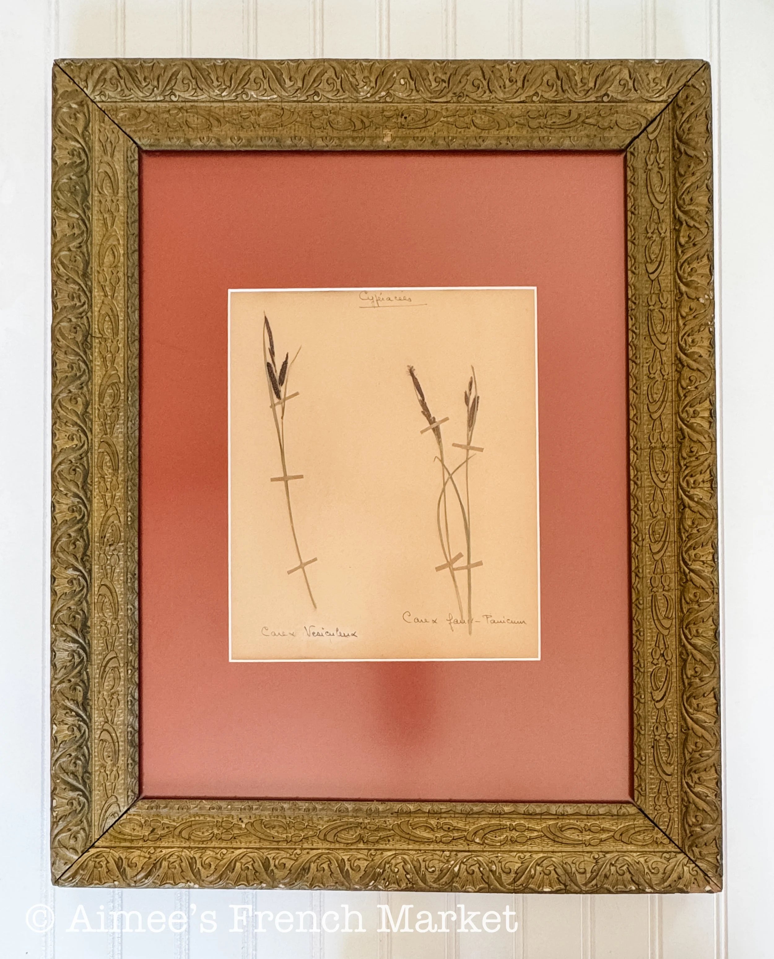 20% off - French Vintage Botanical with Antique French Frame - Large - No. 5