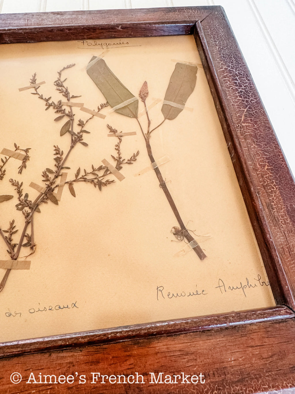 20% off - French Vintage Botanical with Antique Frame - No. 7